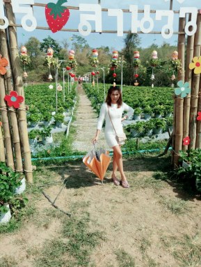 Thai women for dating / Thai ladies for dating