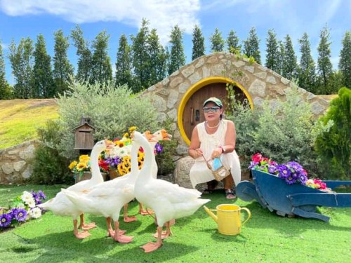 <span>Kang, 60</span>&nbsp;<span style='width: 25px; height: 16px; float: right; background-image: url(/bitmaps/flags_small/TH.PNG)'>&nbsp;</span><br><span>Bangkok Yai, Thailand</span>&nbsp;<input type='button' class='joinbtn' style='float: right' value='JOIN NOW' />